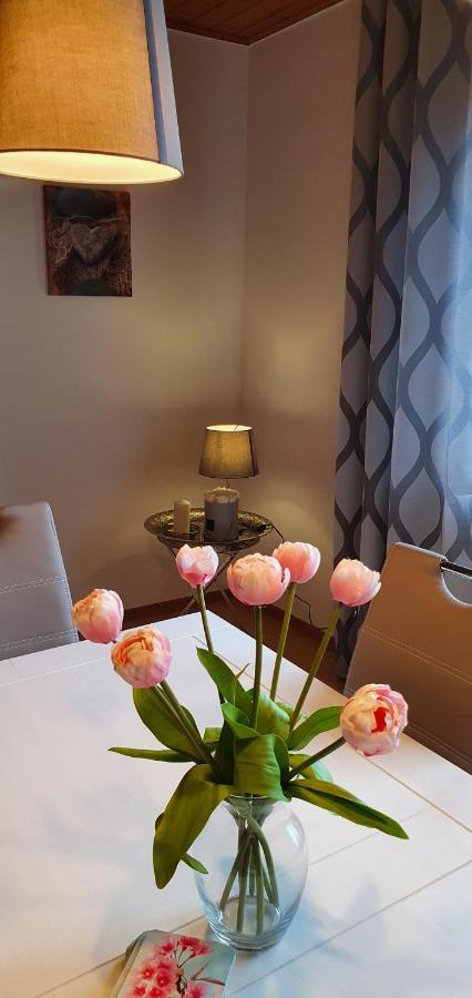 Moderne Ferienwohnung Mit Eigenem Garten Und Traumhaften Blick Wilhelmsthal Dış mekan fotoğraf