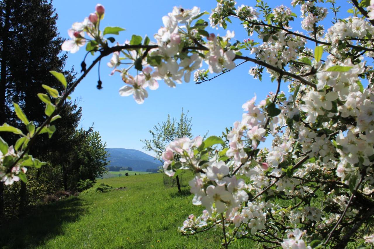 Moderne Ferienwohnung Mit Eigenem Garten Und Traumhaften Blick Wilhelmsthal Dış mekan fotoğraf